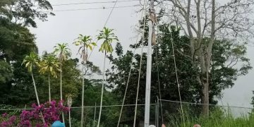 Solucionado problema de alumbrado en sector Produaguacate de Isnotú