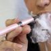 Combinar cigarrillos electrónicos y tabaco no reduce el riesgo cardiovascular