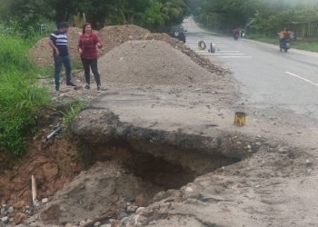 Liliana Guerrero: daños causados por las lluvias en la zona Panamericana son incalculables