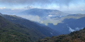 Parque Nacional Ramal de Calderas Dr. José Gregorio Hernández / Por: Marcos Alexander Hidalgo
