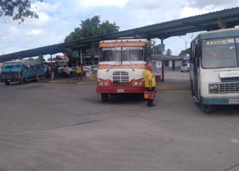 Operativo de patente vehícular se realizó en Sabana de Mendoza