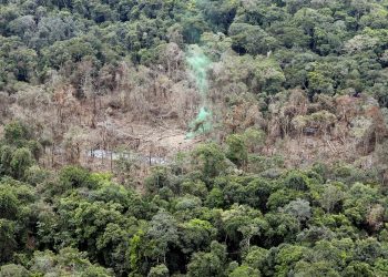 Colombia confirma la muerte del jefe disidente de las FARC «Gentil Duarte»