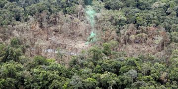 Colombia confirma la muerte del jefe disidente de las FARC «Gentil Duarte»