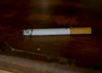 Fumar no solo daña la salud sino también el medio ambiente, advierte la OMS