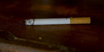 Fumar no solo daña la salud sino también el medio ambiente, advierte la OMS