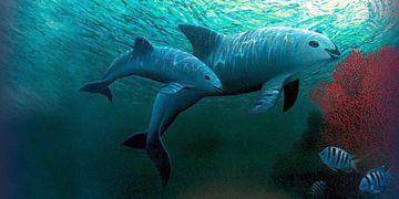 Las diez especies de fauna y flora más amenazadas del mundo