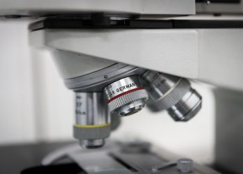 Científicos idean un método para controlar poblaciones bacterianas