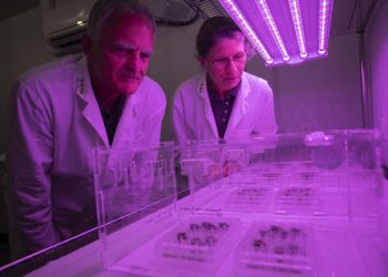 Las granjas lunares llegarán «muy pronto» y darán verduras con todo su sabor