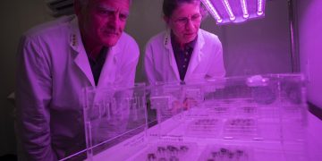 Las granjas lunares llegarán «muy pronto» y darán verduras con todo su sabor