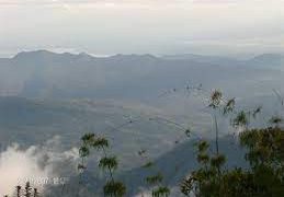 Parque Nacional General Cruz Carrillo en Guaramacal / Por: Amílcar Bencomo