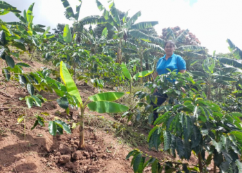«A los jóvenes de ahora no les gusta mucho el campo porque sacan cuenta y no les da»