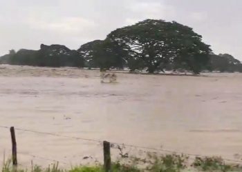 Tragedia del Sur del Lago se pudo evitar