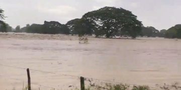 Tragedia del Sur del Lago se pudo evitar