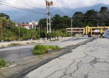 A punto de caer otro árbol y parte de un muro a unos 200 metros de la sede de PC- Mérida
