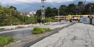 A punto de caer otro árbol y parte de un muro a unos 200 metros de la sede de PC- Mérida