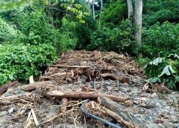 Una víctima mortal y daños en al menos trece municipios merideños por lluvias de este 11 de mayo