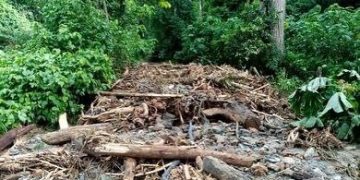 Una víctima mortal y daños en al menos trece municipios merideños por lluvias de este 11 de mayo