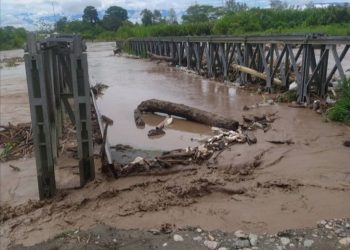 La ayuda no llegó y las pérdidas serán incalculables