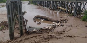 La ayuda no llegó y las pérdidas serán incalculables