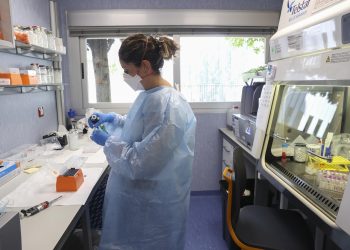 OMS decide que viruela del mono no es una emergencia sanitaria internacional