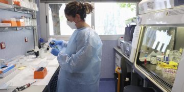 OMS decide que viruela del mono no es una emergencia sanitaria internacional