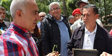 Bernal: la Vitrina productiva es  un espacio para impulsar la producción agrícola