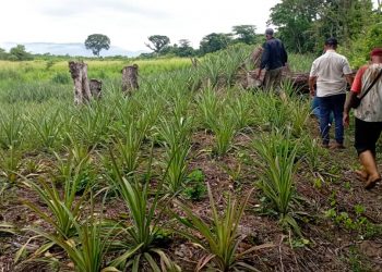 Consejo Legislativo de Trujillo visita comunas productivas del estado para impulsar el desarrollo regional