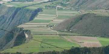 ¡Presidente Maduro, volviste a mentir!  es falso que el Estado satisface la demanda nacional de semilla de papa