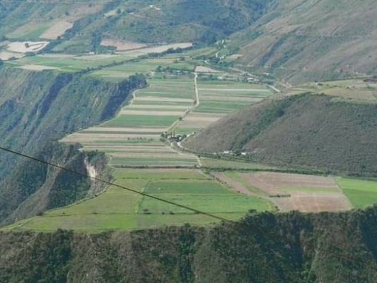 Cultivo de papa en los Andes venezolanos. Foto: Alirio Rangel