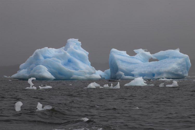 En la imagen de archivo, un iceberg flota en la laguna San Rafael, perteneciente al parque nacional de mismo nombre, el 13 de febrero de 2022, en la región de Aysén (Chile). EFE/