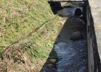 Gobernación de Mérida habilitó nueva vía entre La Palmita y Mesa Bolívar