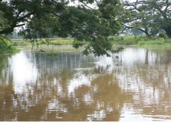 Desaparecidos dos menores presuntamente arrastrados por crecida del río Escalante