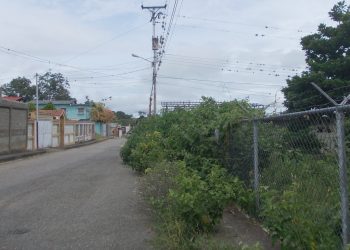 Sectores de Betijoque completamente enmontados