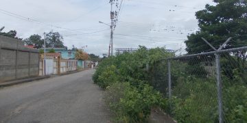 Sectores de Betijoque completamente enmontados