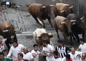 Unos fugaces toros de Miura ponen fin a los encierros de los Sanfermines 2022