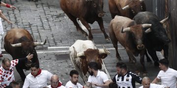 Unos fugaces toros de Miura ponen fin a los encierros de los Sanfermines 2022