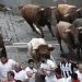 Unos fugaces toros de Miura ponen fin a los encierros de los Sanfermines 2022