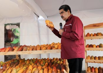 Exoneran de impuestos y aranceles la exportación de cacao