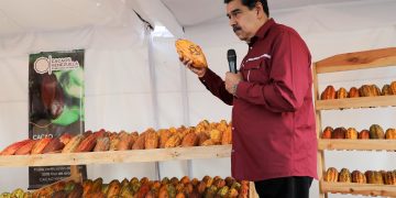 Exoneran de impuestos y aranceles la exportación de cacao
