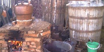 El Miche Sanjonero / Por: Luis Huz Ojeda