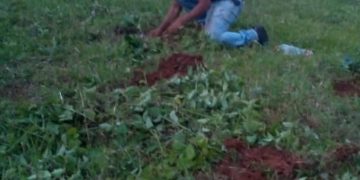 Pacca Boconó aplicando estatutos anuncia segunda convocatoria para asamblea general de accionistas