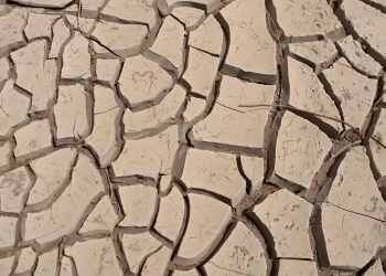 La megasequía por el cambio climático y la deforestación se agudizarán en América Latina
