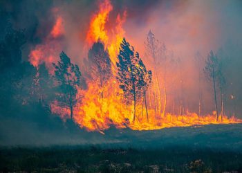 Los incendios golpean el sur de Europa en medio de una ola de calor extrema