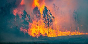 Los incendios golpean el sur de Europa en medio de una ola de calor extrema