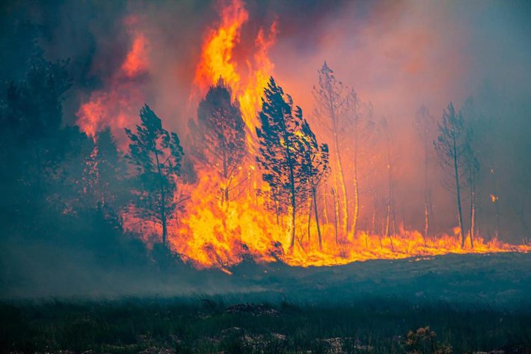 Incendio forestal en La Teste-de-Buch, Francia, EFE