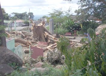 En el Pocito todavía hay escombros y restos dejados por el aguacero y tormenta eléctrica del viernes 12