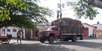 Nuevo incidente causan camiones sobrecargados en Betijoque