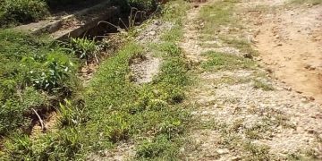 Intransitables calles del sector el Paramito de Sabana de Mendoza