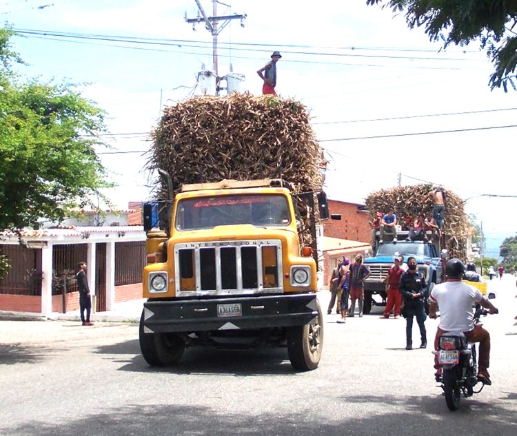 Es común observar en la avenida 5 de Betijoque camiones sobrecargados de caña de azúcar ante la indiferencia de la PNB.