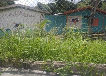 Al Liceo Bolivariano «Ciudad de Valera» se lo está «comiendo el monte»